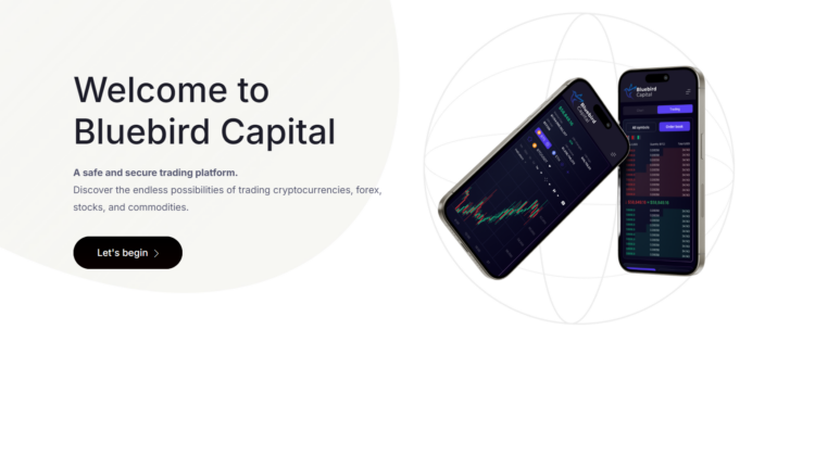 Bluebird Capital,bluebirdsrl.com,Bluebird Capital отзывы,Bluebird Capital возврат денег,Bluebird Capital мошенники Организация по возврату денег от брокеров. Вернуть деньги от мошенника без предоплаты.